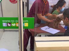 -瑞鹏宠物医院·微创内窥镜·骨外科·牙科(翠竹分院)