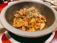 生态甲鱼-火焰金龟甲(汉阳江滩旗舰店)
