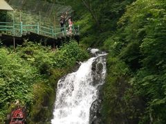 -凤凰山国家森林公园