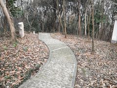 -上海佘山国家森林公园天马山园