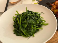 清炒豌豆尖-青梅酒肆PLUS(长白仙岛北路店)