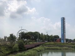 -太湖湖滨国家湿地公园-停车场