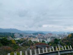 -福道