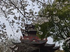 -堤角公园