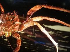 -同济大学四平路校区深海探索馆