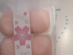 大福-格瑞思动物奶油生日蛋糕(园区永旺店)