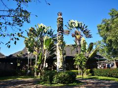 -西双版纳基诺山寨