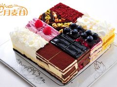 迷恋八口味-维尔纳斯·生日蛋糕·动物奶油冰淇淋蛋糕(六里桥店)