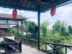-一煲鸽