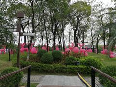 -映月湖公园