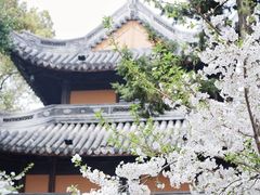 -龙华寺