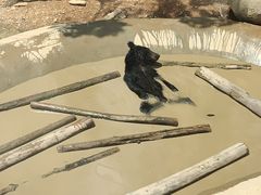 -泉州海丝野生动物世界