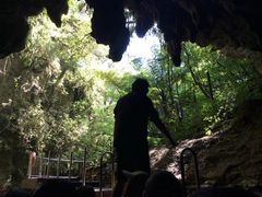 -怀托摩萤火虫洞