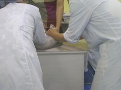 -佳怡动物医院·平价24小时·猫专科骨外科