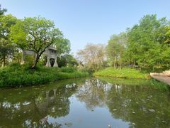 -西溪国家湿地公园