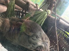 -杭州野生动物世界