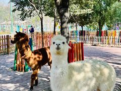 -水上乐园·欢乐世界