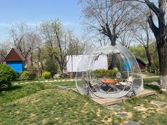 -Supine Bistro溯泮餐厅