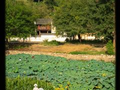 -呈坎景区