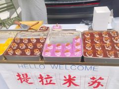 -星光岛