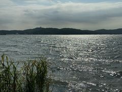 -上海市保健医疗中心