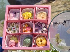 -稻香村(观前街店)