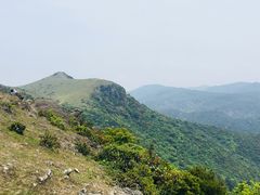 -大姆山草场