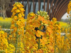 -中国天府农业博览园