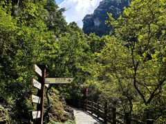 -刘伯温故里景区百丈漈