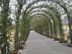 -广富林郊野公园