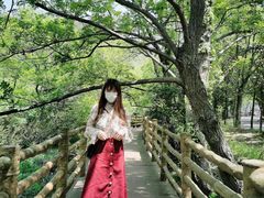 -木兰云雾山