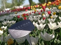 -国家植物园