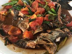 -生态苑农庄(十里画廊遇龙河店)