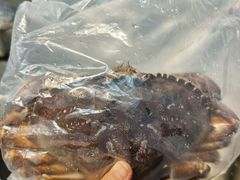 珍宝蟹158-盒马X会员店(王府井奥莱UP TOWN店)