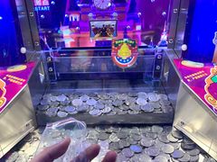 -探险阳光乐园(东区利和店)