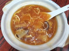 招牌花胶海参煲仔-添發碗仔翅美食