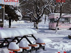 -二一九公园