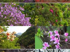 -安徽天堂寨风景区