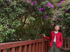 -广州市石门国家森林公园