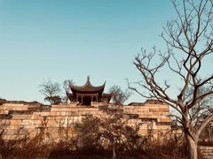 -广富林郊野公园