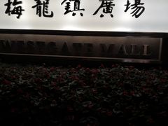 -梅龙镇广场