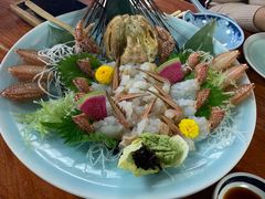 -蟹料理 北海道かに将軍(札幌本店)
