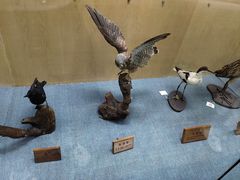 -陕西自然博物馆