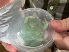 -酷以爬仙阁实体爬宠店·守宫·蜥蜴·专业繁育