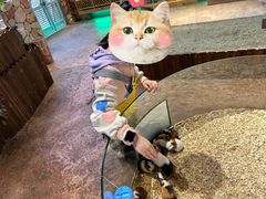 -杭州开元森泊度假乐园