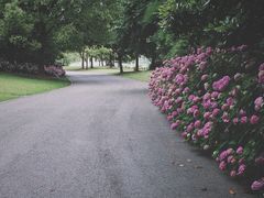 -上海滨江森林公园
