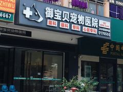 -御宝贝24h宠物医院·转诊中心·CT核磁血透中心(厦门总院)