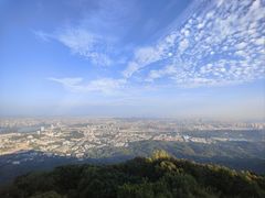 -紫金山山顶公园
