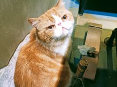 -臻鲜燕海鲜融合餐厅(金陵style店)