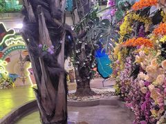 -正佳雨林生态植物园